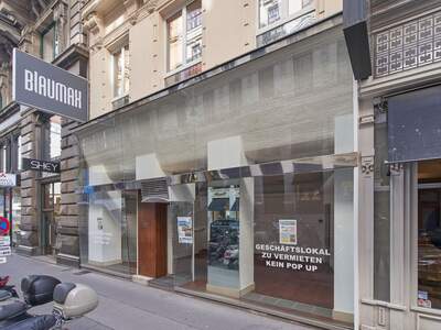 Gewerbeobjekt mieten in 1010 Wien (Bild 3)