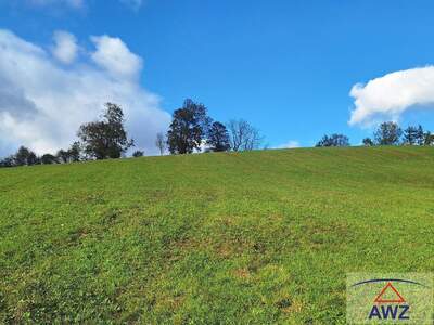 Gewerbeobjekt kaufen in 8162 Passail