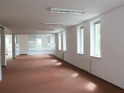 Gewerbeobjekt mieten in 2372 Gießhübl (Bild 5)