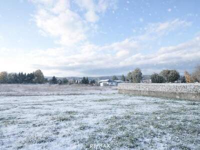 Grundstück kaufen in 3380 Pöchlarn