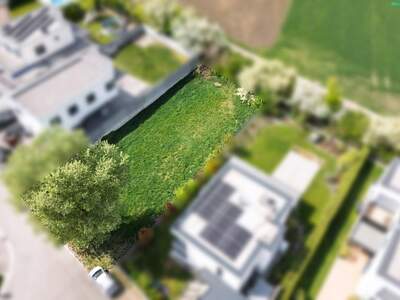 Grundstück kaufen in 2440 Moosbrunn