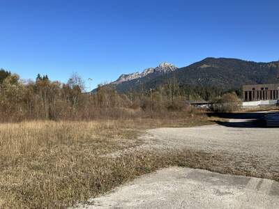 Gewerbeobjekt mieten in 6600 Breitenwang (Bild 3)