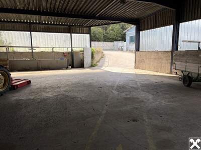 Gewerbeobjekt mieten in 7012 Zagersdorf (Bild 3)