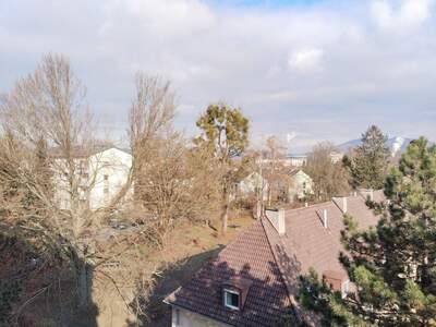 Wohnung mit Balkon kaufen in 4020 Linz (Bild 5)