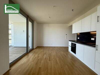 Terrassenwohnung mieten in 1100 Wien (Bild 2)