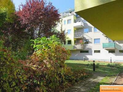 Wohnung mieten in 1130 Wien