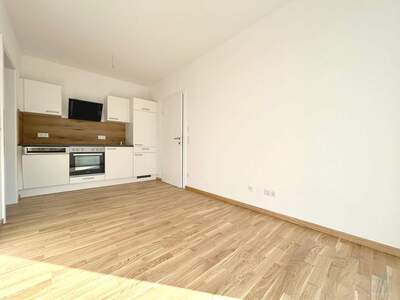 Terrassenwohnung kaufen in 8054 Graz (Bild 4)