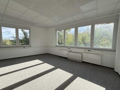 Gewerbeobjekt mieten in 8200 Gleisdorf (Bild 4)