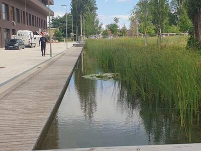 Mietwohnung in 8020 Graz (Bild 1)