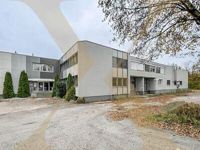 Gewerbeobjekt mieten in 4600 Thalheim (Bild 1)