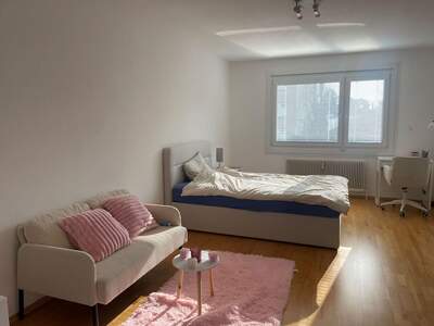 Mietwohnung in 1130 Wien (Bild 3)