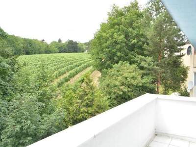 Wohnung mieten in 1190 Wien