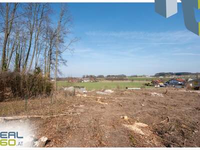 Terrassenwohnung kaufen in 4810 Gmunden (Bild 5)