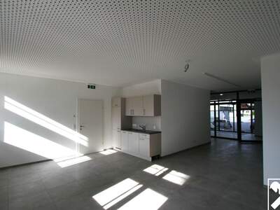 Gewerbeobjekt mieten in 4894 Oberhofen (Bild 5)