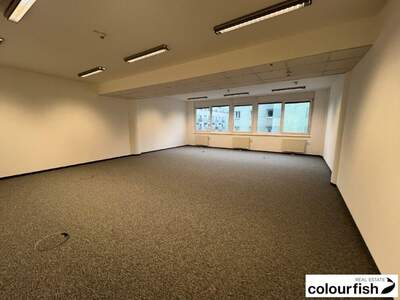 Gewerbeobjekt mieten in 1110 Wien (Bild 2)