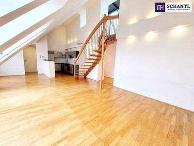 Terrassenwohnung kaufen in 1150 Wien (Bild 2)