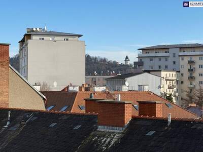 Anlageobjekt kaufen in 8020 Graz