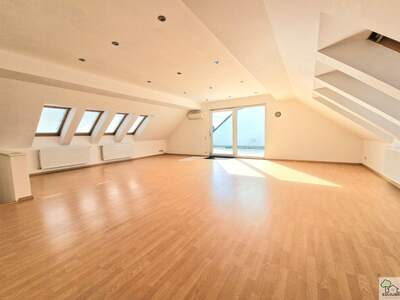 Gewerbeobjekt mieten in 1230 Wien (Bild 2)