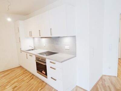 Terrassenwohnung mieten in 1140 Wien (Bild 4)