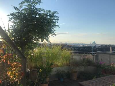 Altbauwohnung kaufen in 1140 Wien (Bild 1)