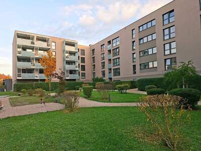 Wohnung provisionsfrei mieten in 4040 Linz