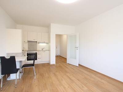 Wohnung mieten in 9020 Klagenfurt (Bild 2)