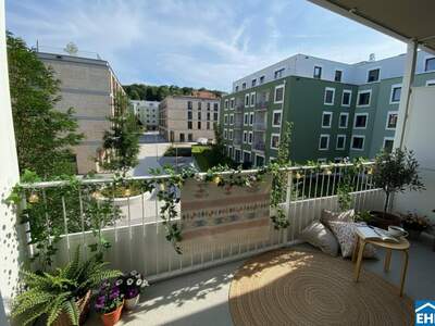 Wohnung mieten in 3451 Pixendorf