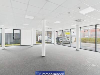 Gewerbeobjekt mieten in 4061 Pasching (Bild 2)