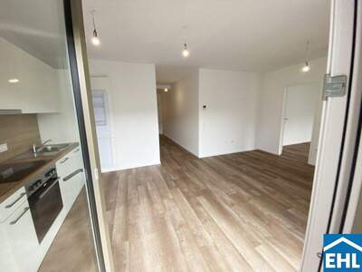 Terrassenwohnung mieten in 3451 Michelhausen (Bild 3)