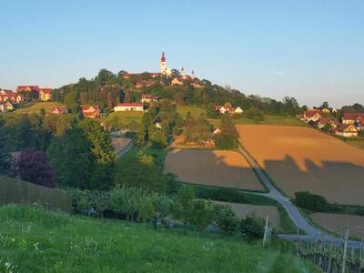 Grundstück kaufen in 8345 Straden (Bild 5)