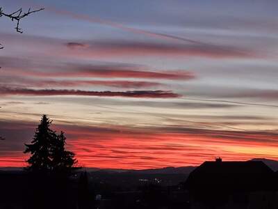 Gewerbeobjekt kaufen in 8244 Schäffern