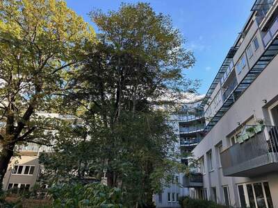 Wohnung mieten in 1020 Wien