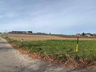 Grundstück kaufen in 4912 Neuhofen