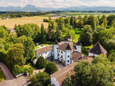 Schloss kaufen in 4693 Desselbrunn