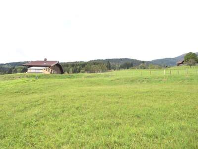 Gewerbeobjekt kaufen in 9543 Arriach (Bild 5)