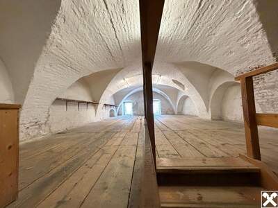 Gewerbeobjekt kaufen in 2380 Perchtoldsdorf (Bild 2)