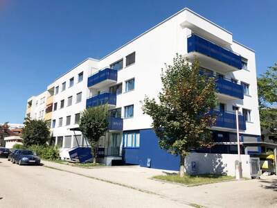 Wohnung mieten in 4600 Wels