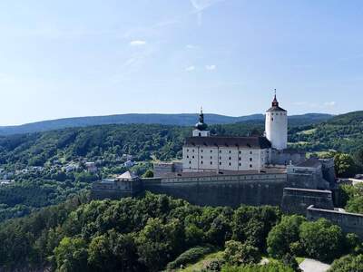 Grundstück kaufen in 7212 Forchtenstein