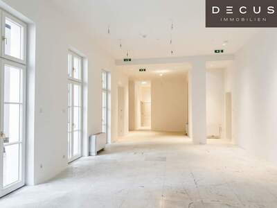 Gewerbeobjekt mieten in 1010 Wien