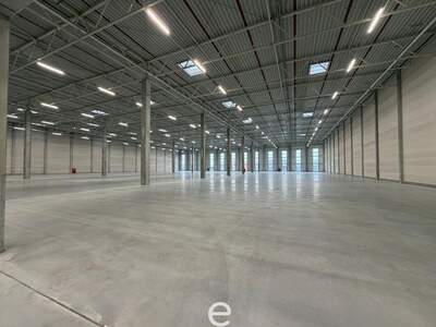 Gewerbeobjekt mieten in 4470 Enns (Bild 5)