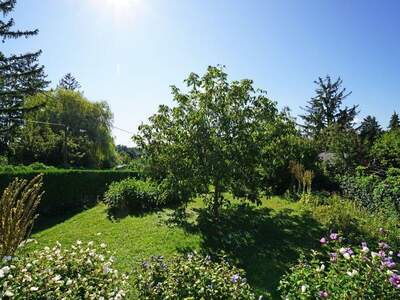 Grundstück kaufen in 1130 Wien (Bild 2)