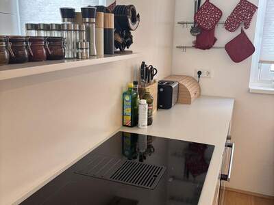 Terrassenwohnung mieten in 1210 Wien (Bild 4)