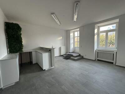 Gewerbeobjekt mieten in 1190 Wien (Bild 3)