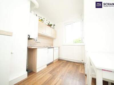 Wohnung kaufen in 1110 Wien