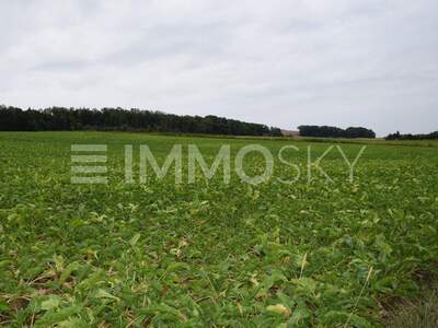 Grundstück kaufen in 4030 Linz (Bild 3)