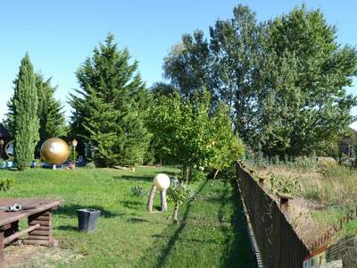 Grundstück kaufen in 2482 Münchendorf (Bild 5)