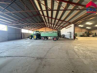 Gewerbeobjekt mieten in 2135 Neudorf (Bild 5)