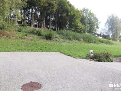 Grundstück kaufen in 9072 Ludmannsdorf (Bild 4)