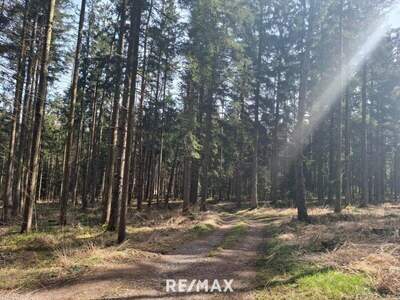 Gewerbeobjekt kaufen in 5231 Schalchen