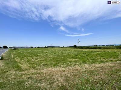 Grundstück kaufen in 2441 Mitterndorf